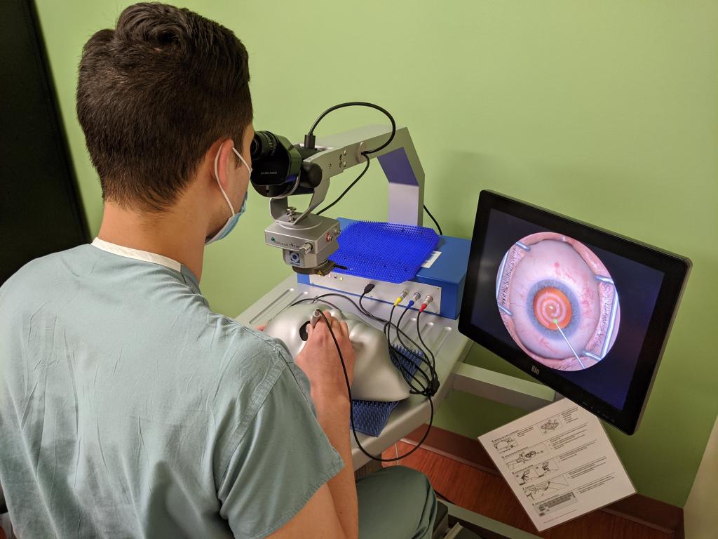 EyeSi surgical simulator