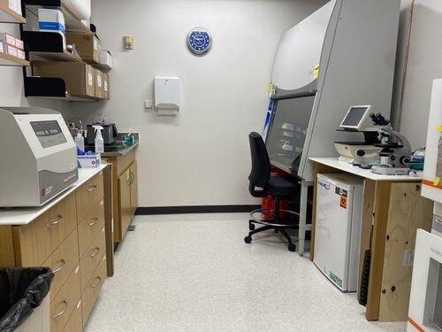 Interior workspace of the Pillon Lab.