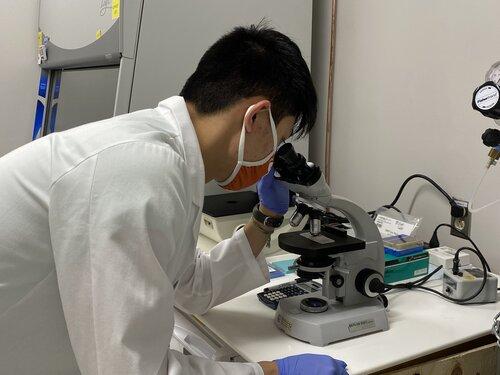 Lab member conducting research in the Pillon Lab.