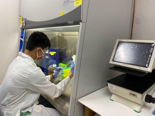 Lab member conducting research in the Pillon Lab.