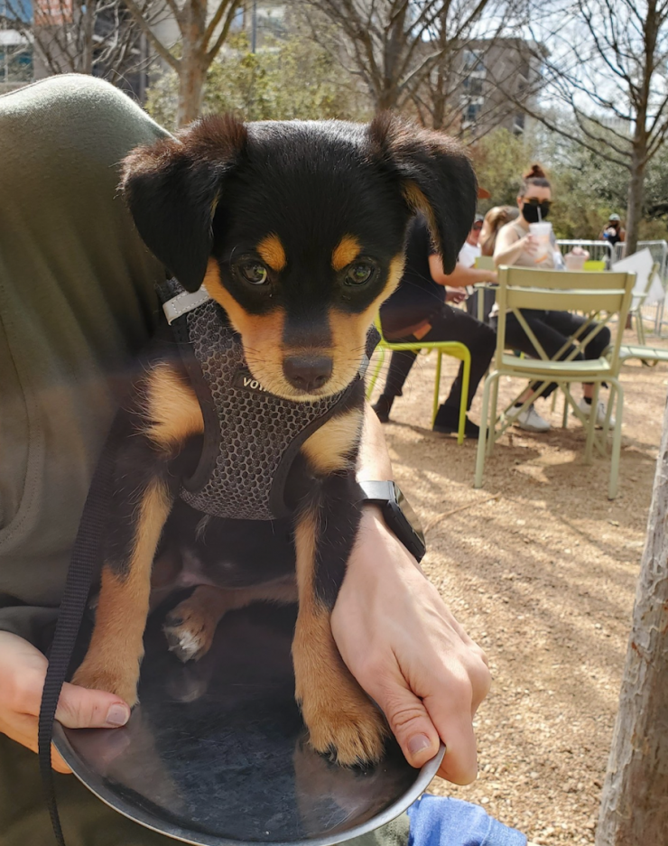 parker-pal-of-the-month-may-2021
