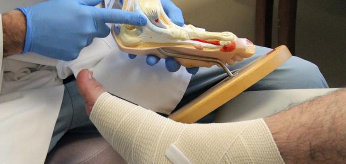 Vascular Surgery and Endovascular Therapy Vascular Surgery and Endovascular Therapy