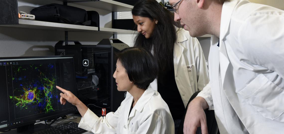 Hui Zheng, Ph.D. (PI), Manasse Gedam (GS), Nicholas Propson, Ph.D. (Pdoc) Graduate Students HCOA