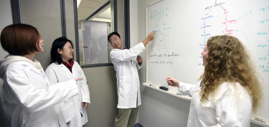 Roufan Yu, Ph.D. (Pdoc)/ Keyang Yu (GS) Weiwei Dang, Ph.D. (PI) and Brenna McCualey, Ph.D. (Pdoc) Postdoctoral Trainees HCOA