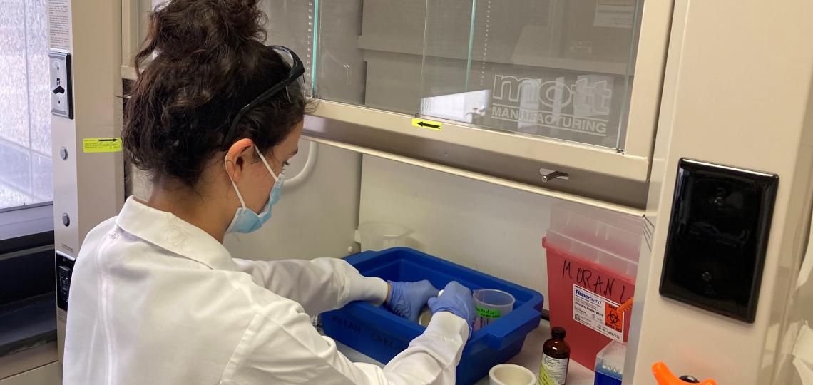 An mRNA Extraction in the Moran Lab An mRNA Extraction in the Moran Lab