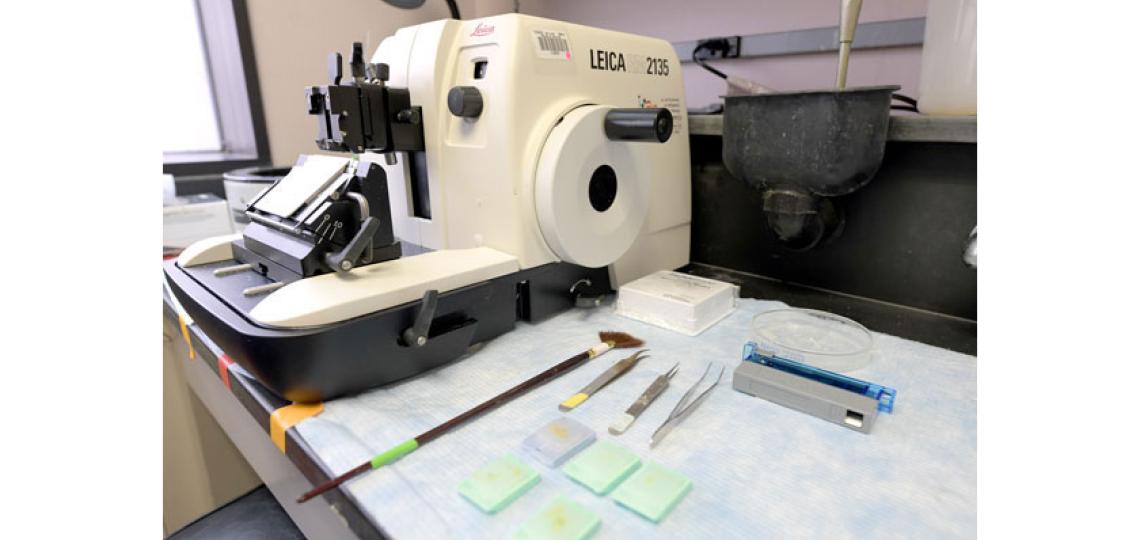 Leica microtome 