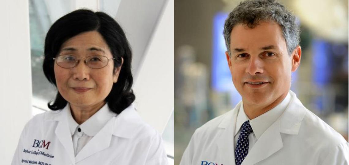 Drs. Megumi Mathison and Todd K. Rosengart