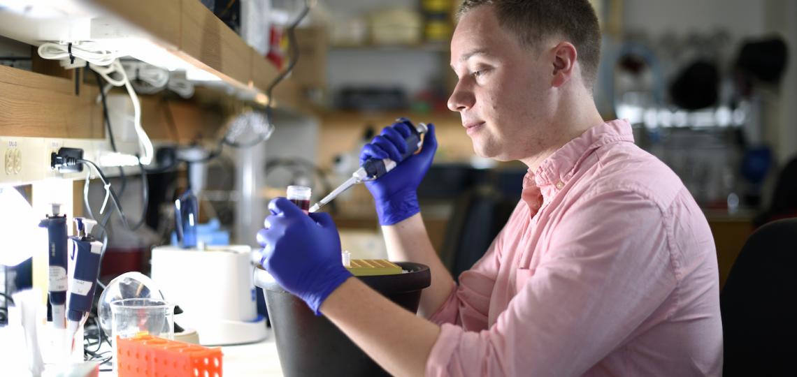 pipette pipette