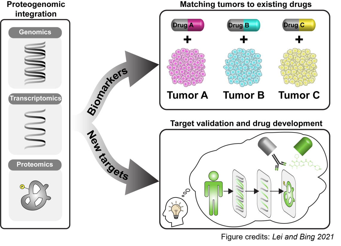 Tumor, Technology, Therapy