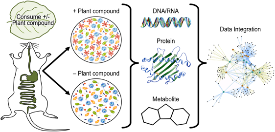 Experimental Outline for Microbiome Work Experimental Outline for Microbiome Work