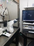 Histology Microscope