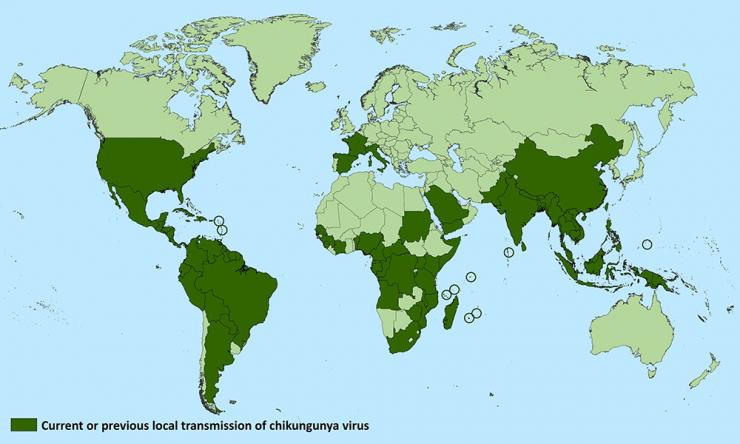 Countries and territories where chikungunya cases due to local transmissionhave been reported (as of May 29, 2018)
