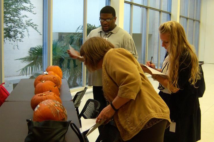 Judges carefully examine the meticulously carved entrees in the 2013 AGSD pumpkin carving contest.