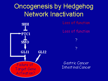Oncogenesis by Hedgehog Network Inactivation