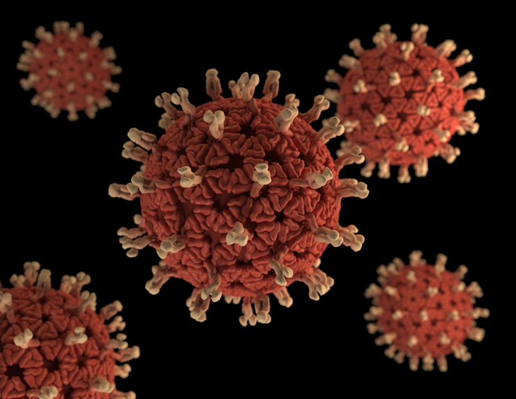 3D graphical representation of rotavirus virions.  Rotaviruses are nonenveloped, double-shelled viruses, making them quite stable in the environment.