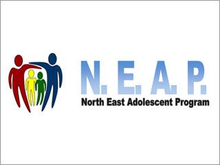 The North East Adolescent Project (NEAP) is an educational outreach component of the Teen Health Clinic.