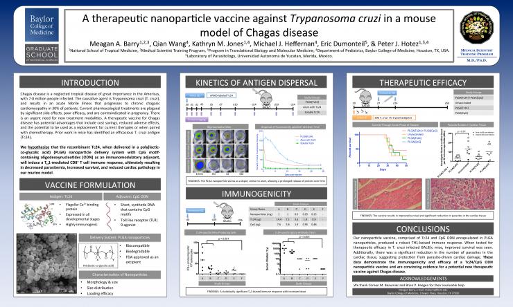 A Therapeutic nanoparticle vaccine against T cruzi poster