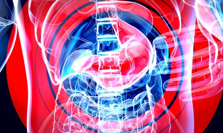 X-ray image of torso in blue showing stomach with red bullseye over stomach.