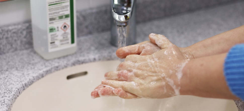 Soap is soap! And other ideas on staying germ free