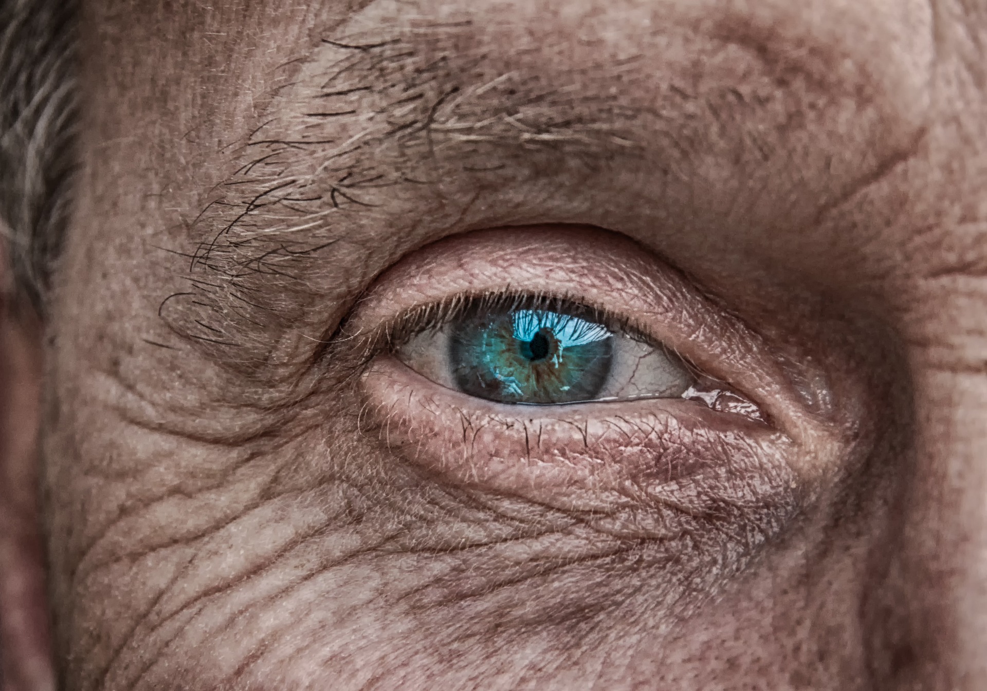 Aging eyesight issues and treatment | BCM