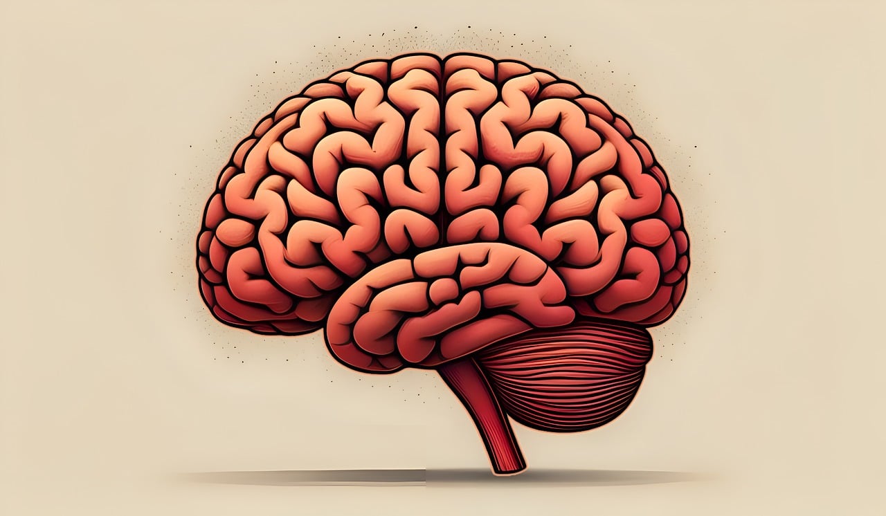 Study points at novel approach to treat Group 3 medulloblastoma The