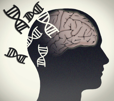 Brain with DNA From the Labs