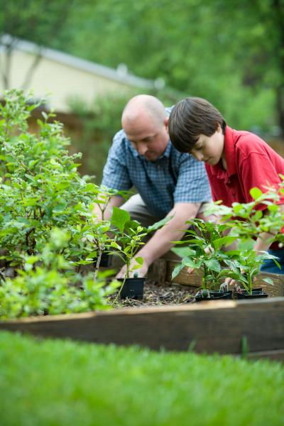 Two people work in a lush backyard vegetable garden