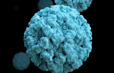 norovirus