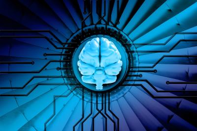 Brain network