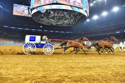 Houston Rodeo