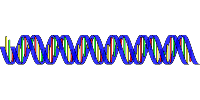 DNA drawing
