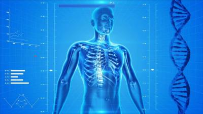 Skeleton and genetic testing