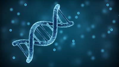A floating DNA strand