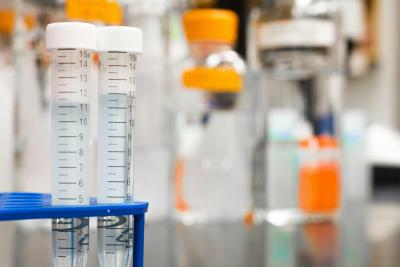 Photo of a lab counter showing test tubes and jars with liquid. 