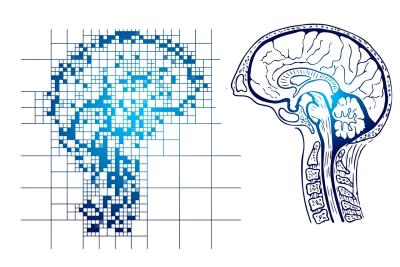 I drawing of a dot matrix-like brain next to a mirror image of an anatomical brain to represent AI brain research.