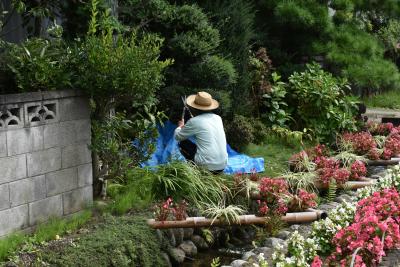 Person kneeling in middle of garden