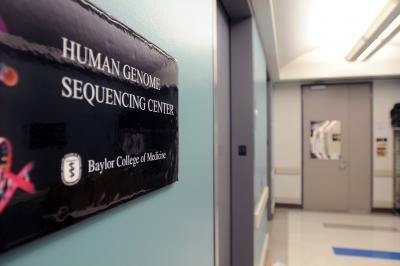 The Human Genome Sequencing Center at 7mƵ.