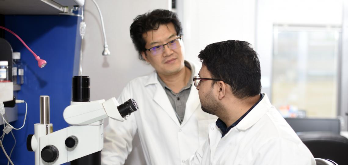 Choel Kim Lab 2019