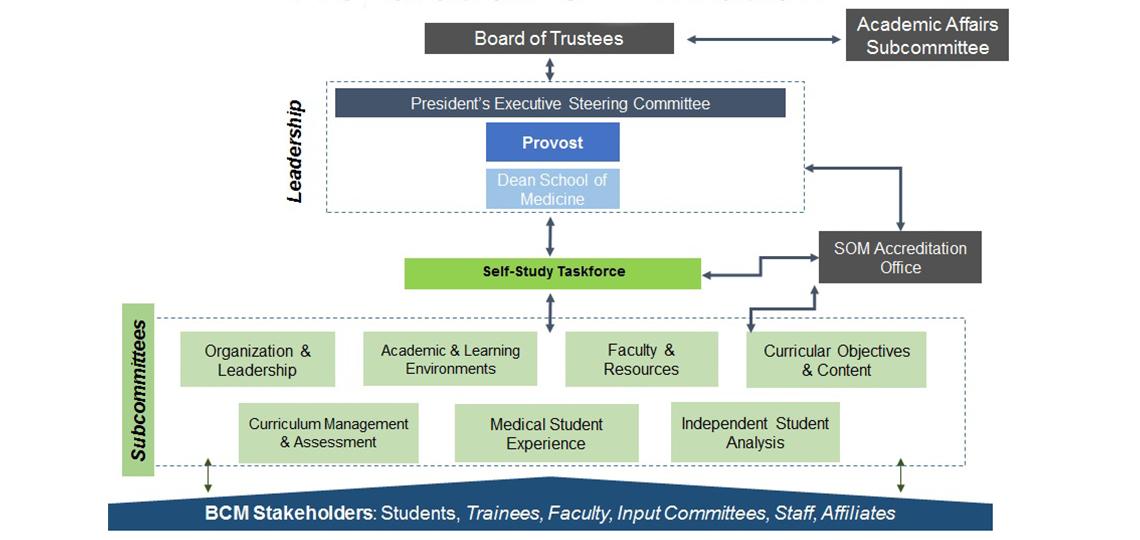 LCME Organization Chart