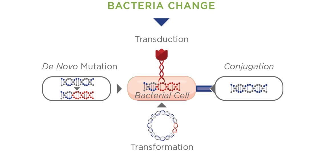 Bacteria Change