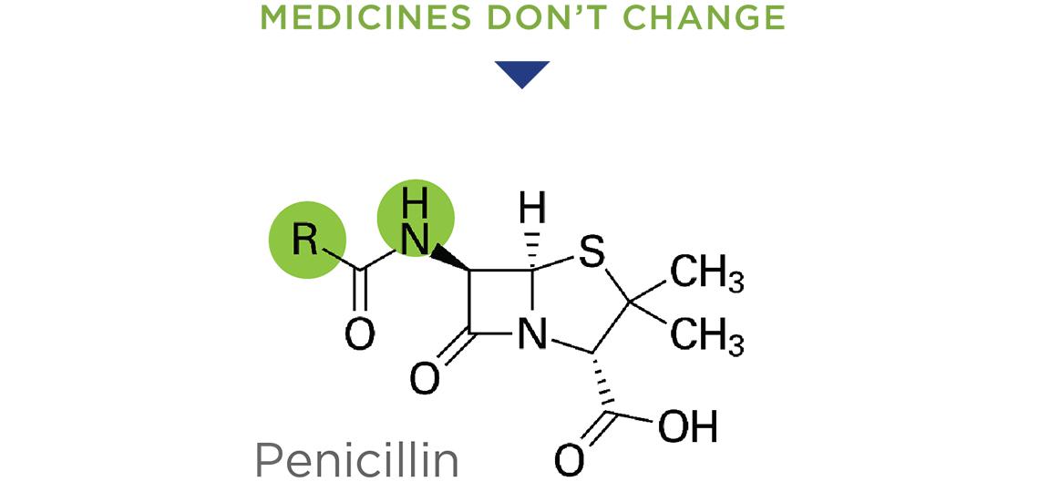 Penicillin