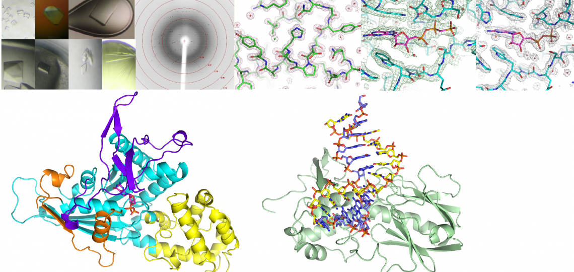 Macromolecular Banner