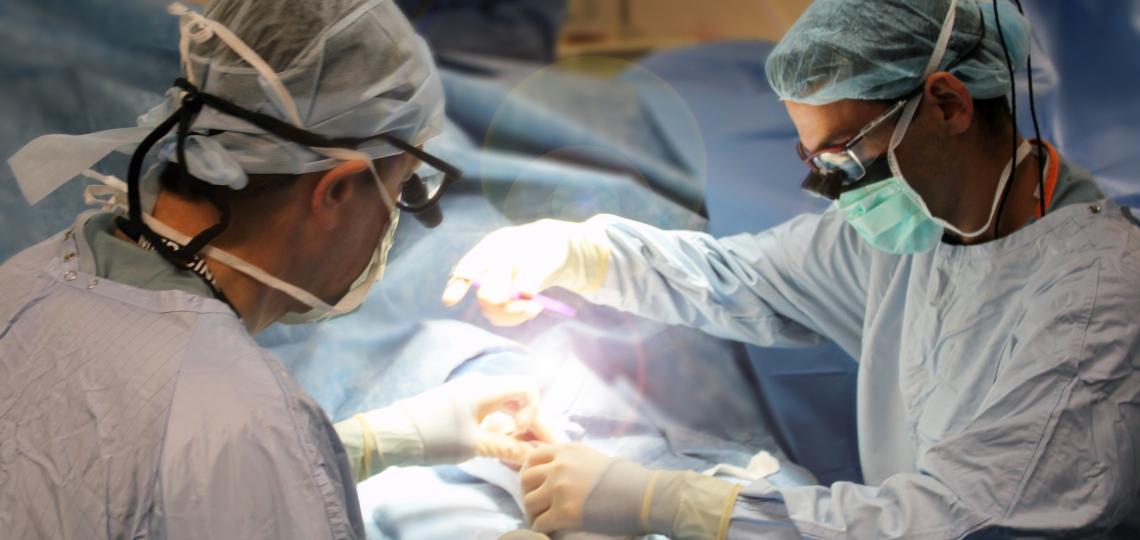 Vascular Surgery Residency Vascular Surgery Residency