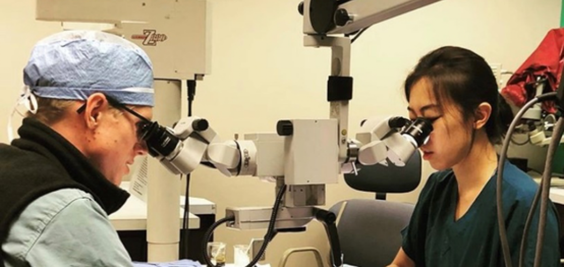 Plastic Surgery Integrated Residents in training