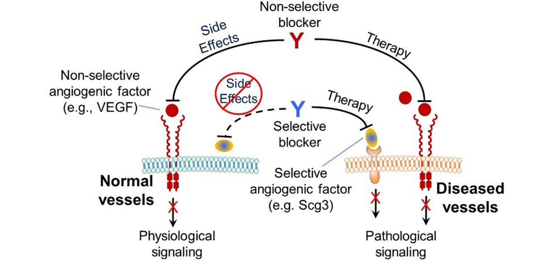 disease-targeting-wei-li-lab-final disease-targeting-wei-li-lab-final