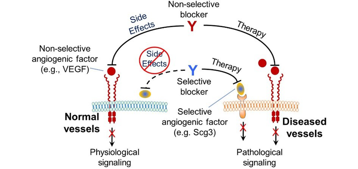 disease-targeting-wei-li-lab-final