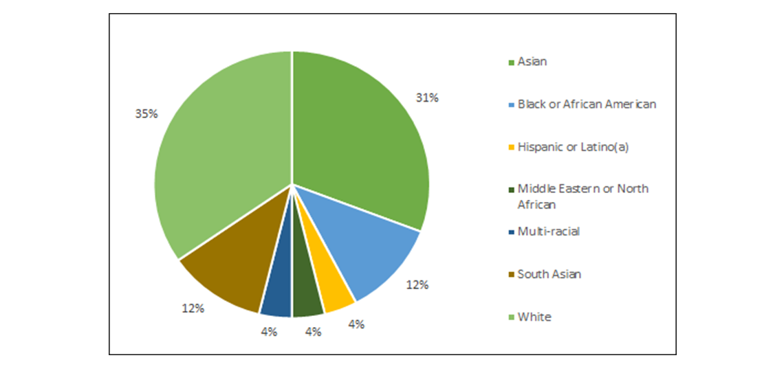 Ethnicity Anesthesiology Resident Program