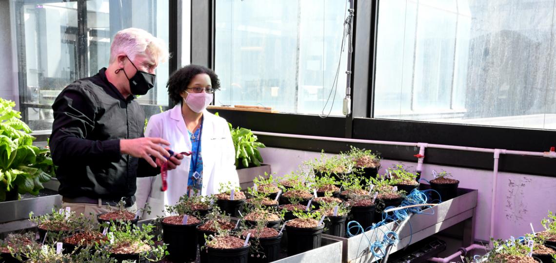 Hirschi Lab Greeenhouse Hirschi Lab Greeenhouse