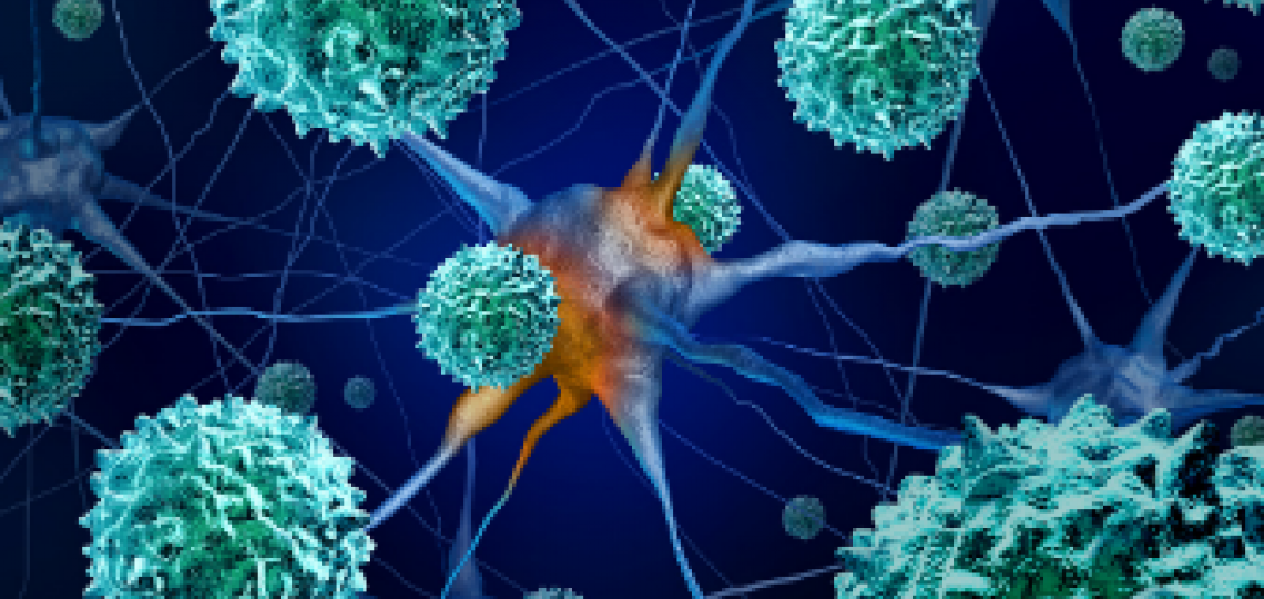 Image of neurons.
