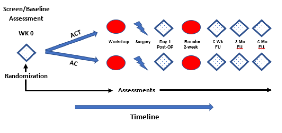 Screen Baseline Assessment Screen Baseline Assessment